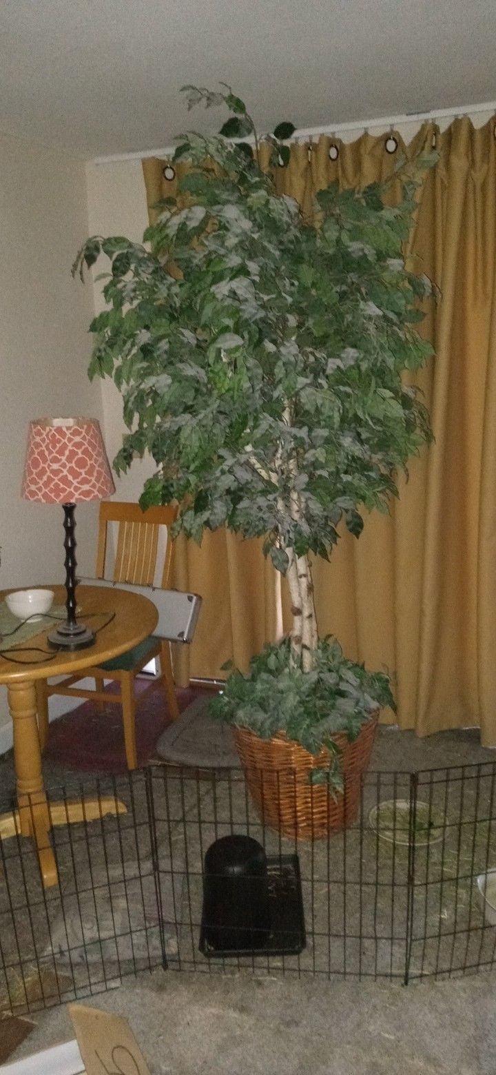 Artificial Plant. Very Large