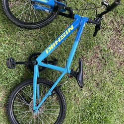 Kids Nishiki Bike