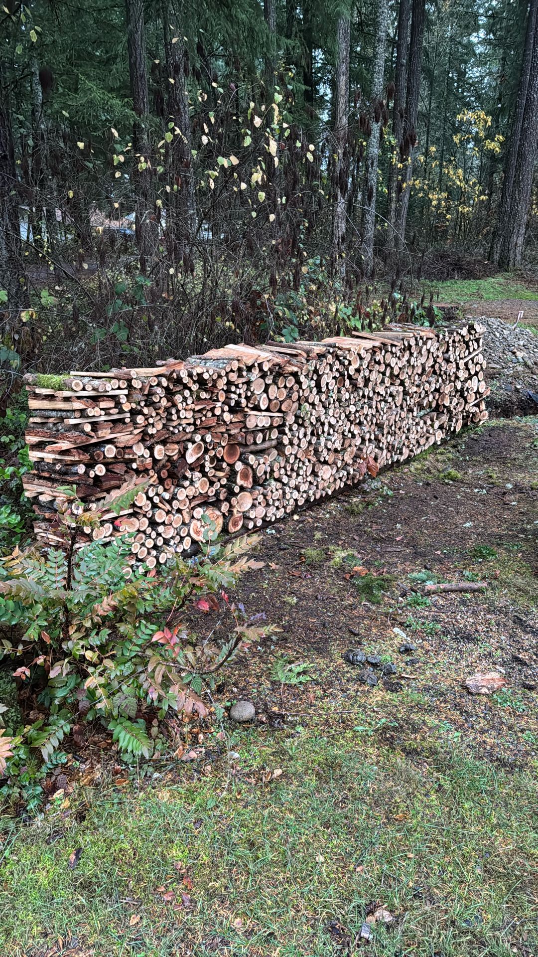 Firewood