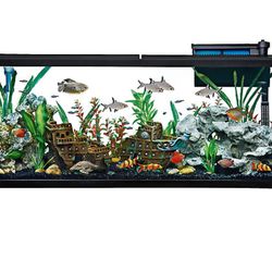 55 Gallon Fish Tank