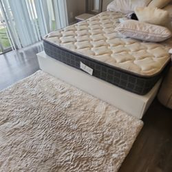 Bed Frame Without Mattress. 