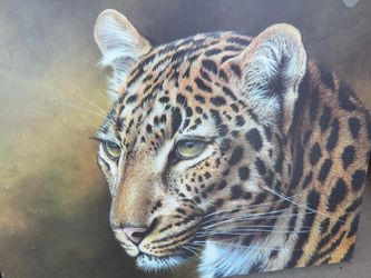 Kim Thompson Framed Lion and Leopard Prints - Set of 2