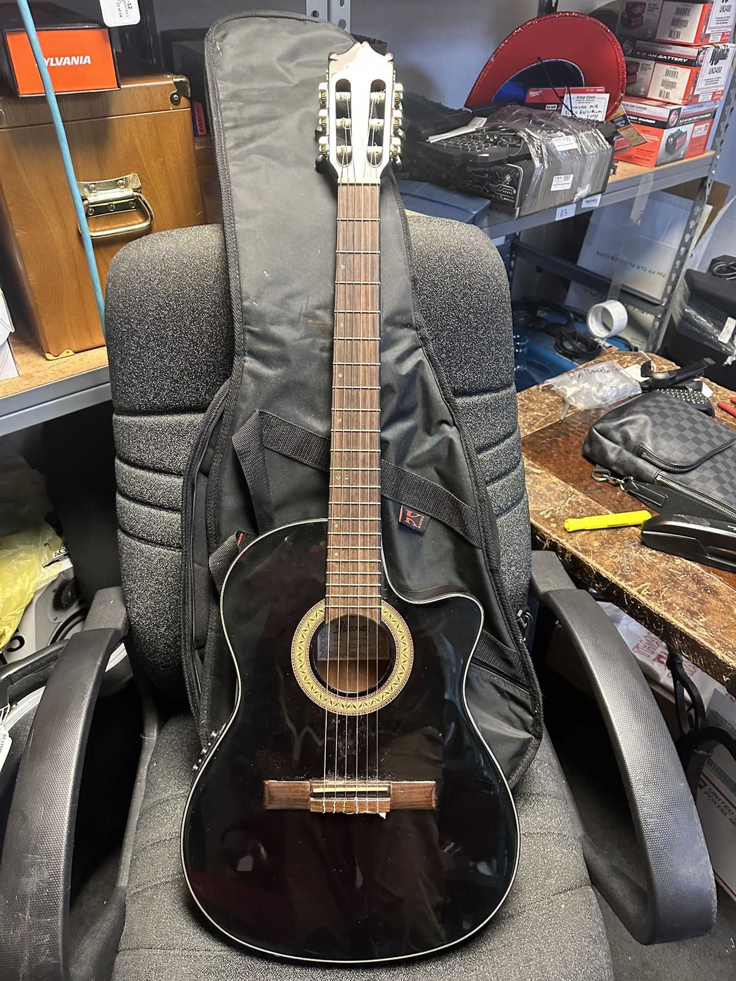 Ibanez Nylon String Acoustic Electric With Case 