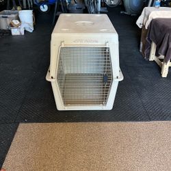 Large dog kennel  . Petmate Pet Porter, size Large (36"L x 24"W x 26"H).