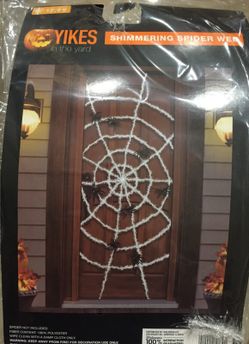 Shimmering Spider Web