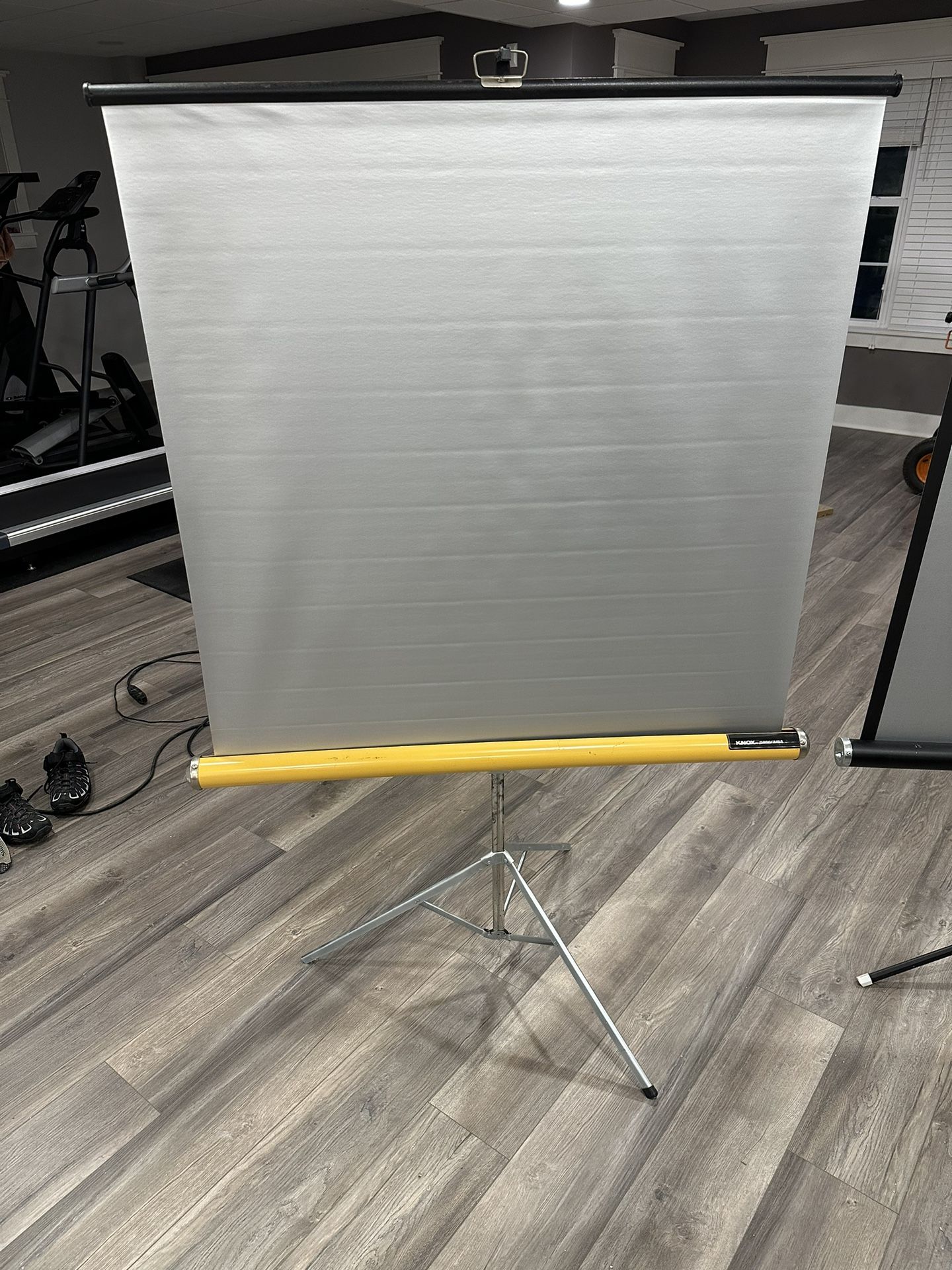 Projection Screen