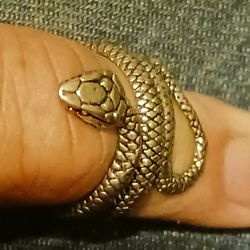 Ring Snake Ring 💍