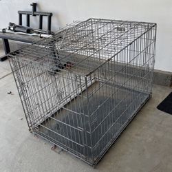 Big Dog Cage 