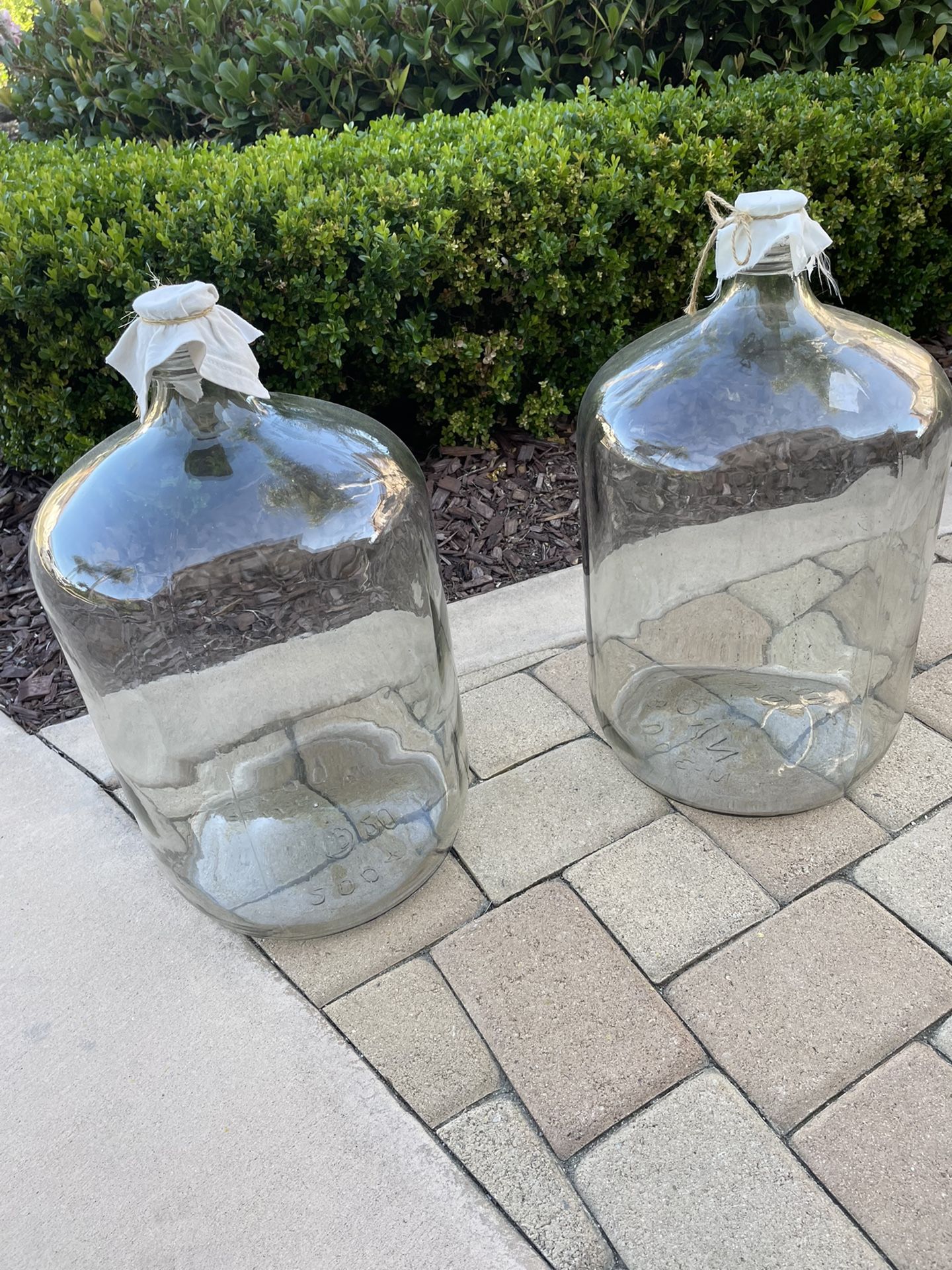 6 Gallon Glass Carboys