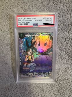 Bulma, Opening Chapter