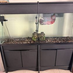 55 Gallon Fish Tank With Cabinet Stand 