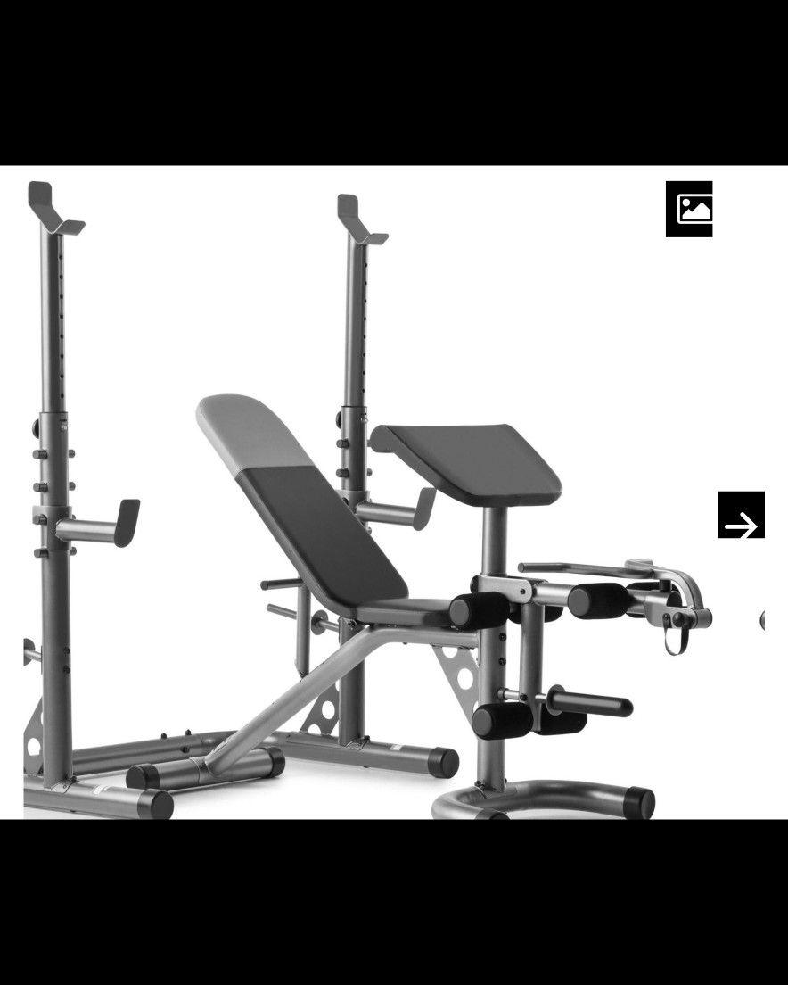 Olympic Weight Bench plus weights