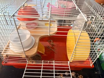 Hamster cage