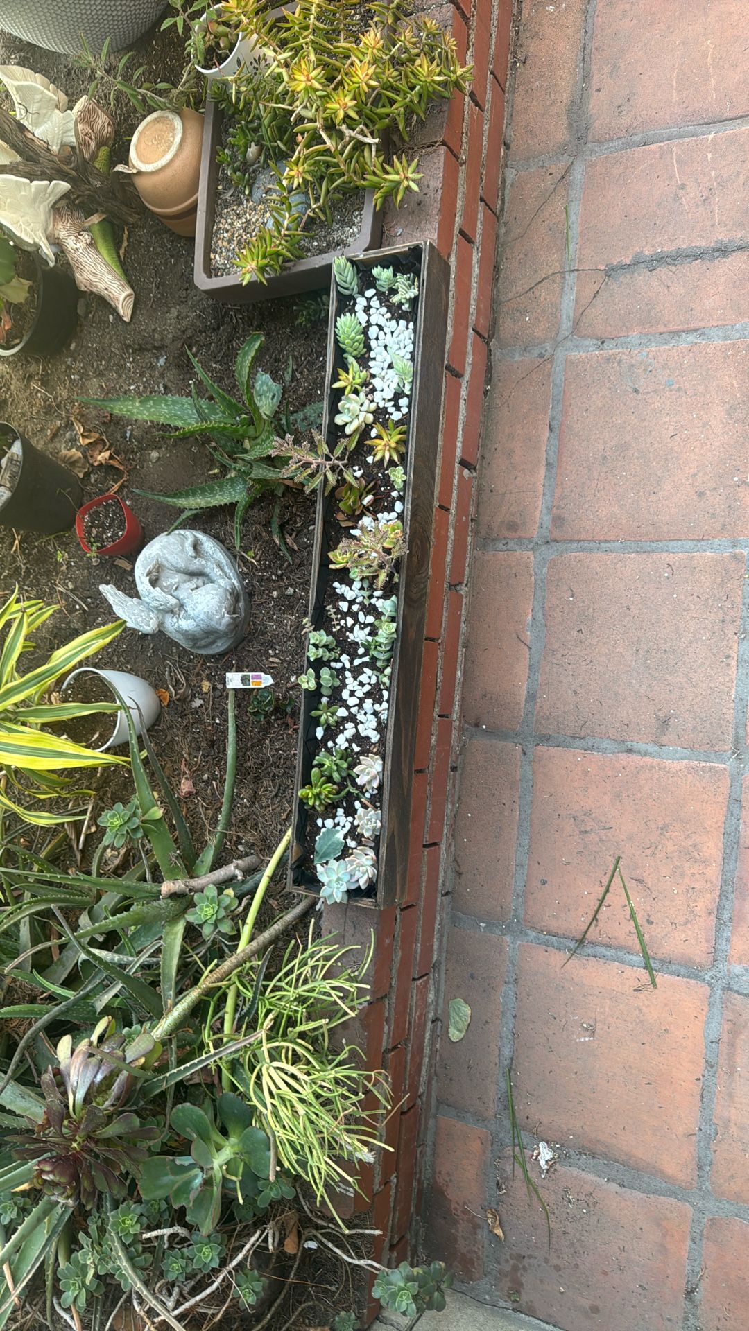 Plants
