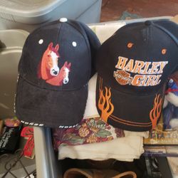 2 Caps Never Worn