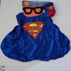 Pet's Halloween Custom 