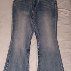 Brand New Women's Curvy Jeans