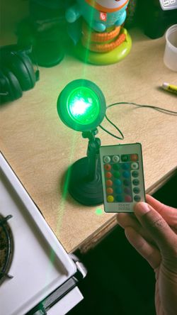 color changing spotlight w remote