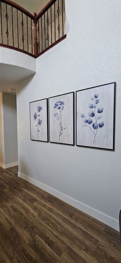 3 Piece Botanical Art Prints
