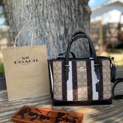 Coach mollie Tote 22 Bag 