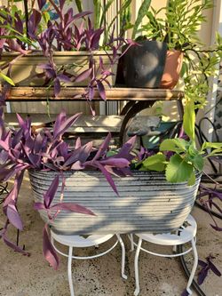 4 planters 2 are "windowsill" type & 2 are bigger
