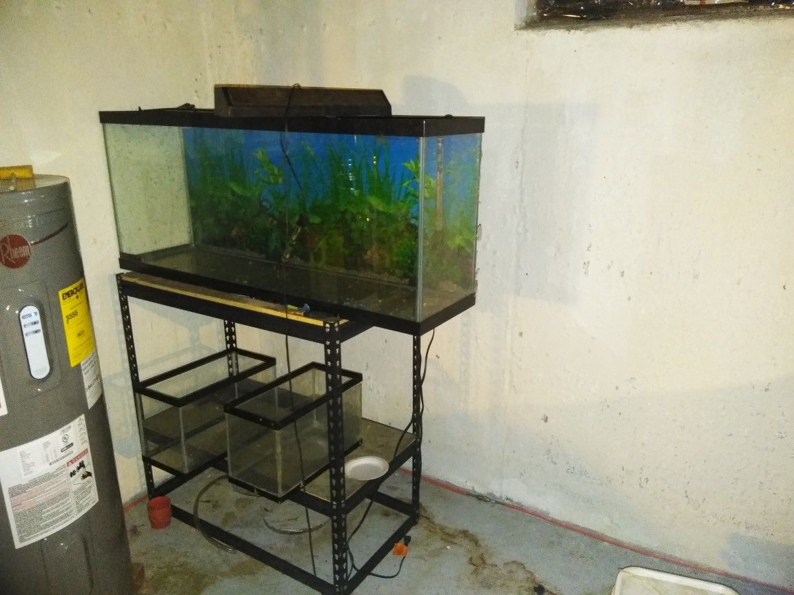 Many tanks from 2gal to 75gal