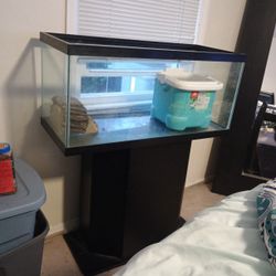 Fish Tank And Stand