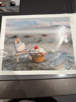 Cupcake Wall Art / Photography