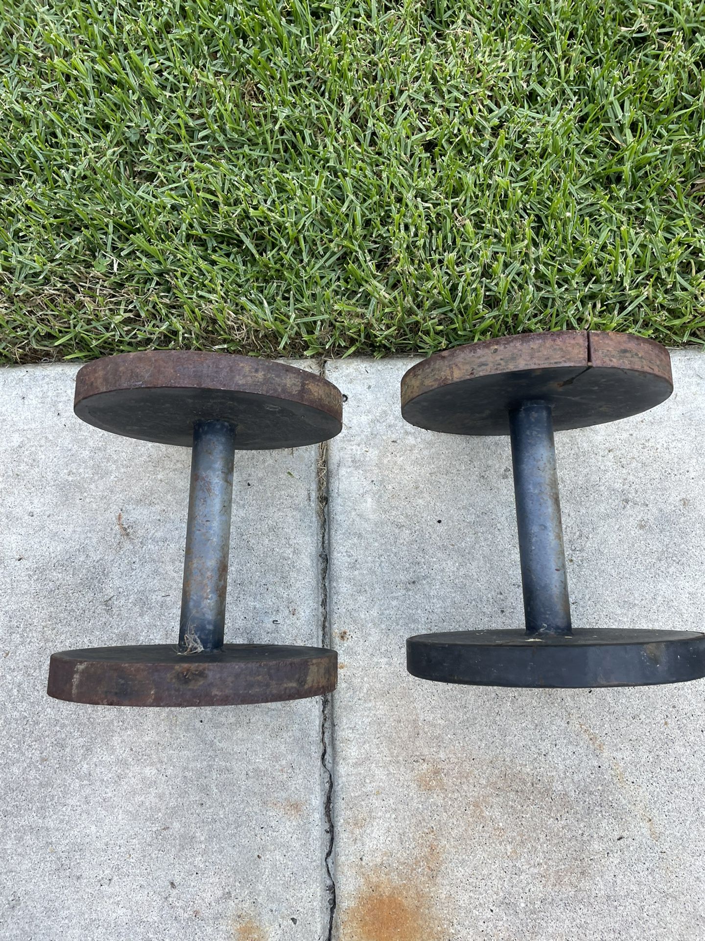 31lb Dumbbells Thick Grip