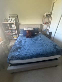 Queen Bed and Mattress