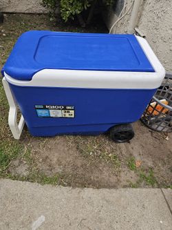 IGLOO COOLER 