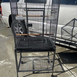 Bird Cage 