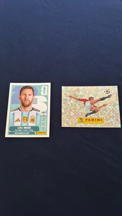 FIFA world cup panini stickers