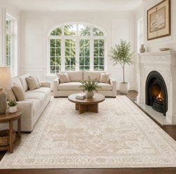 Rug 8x10 beige