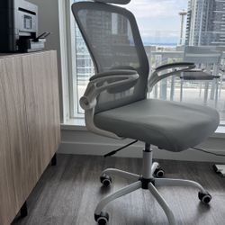 Ergonomic Desk/Office Chair