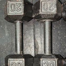 20  LB.  HEX DUMBBELLS 