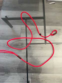 Dog Daddy Training Leash