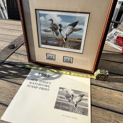 Limited Edition State Stamp Duck Prints.