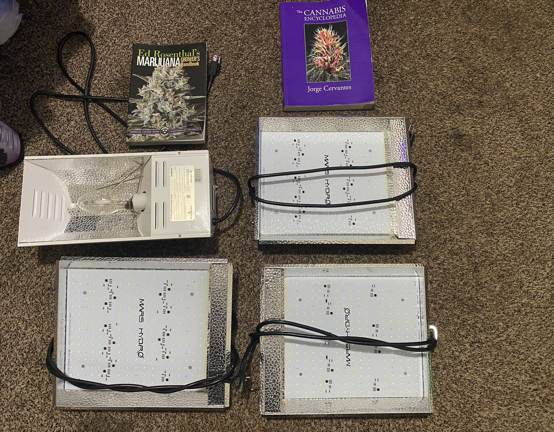 Grow Starter Setup