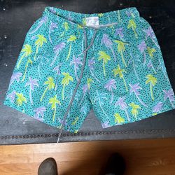 Swim Trunks Size Small