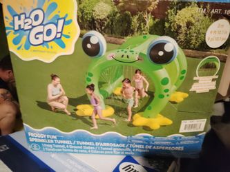 Frog Water Toy