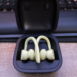 Power Beats Pro ear buds
