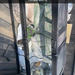 Amphibian Tank  