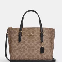 Coach Tote Small 