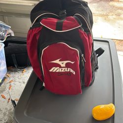 Baseball Bag