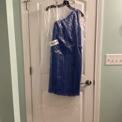 David’s Bridal Bridesmaid Dress