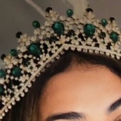 Quinceanera/Sweet 16 Dress