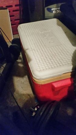 Igloo cooler