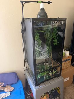 Terrarium
