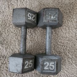 25lb Pair Dumbbells 